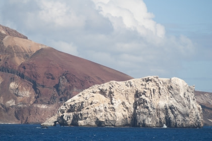 Boatswain Bird Island Boatswain Bird Island