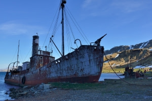 Grytviken Grytviken