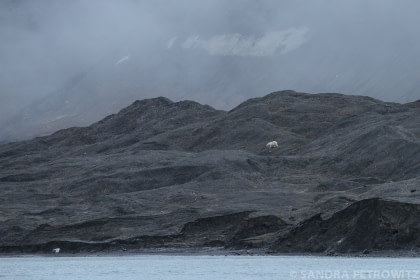 Barentsøya Barentsøya