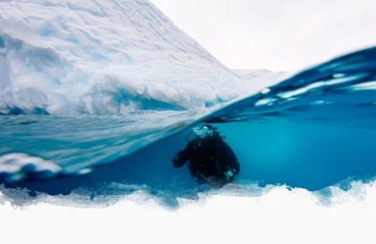 Polar Diving Polar Diving