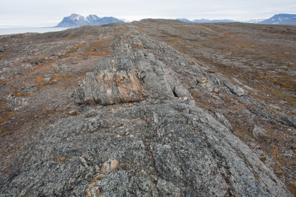 Akseløya Akseløya