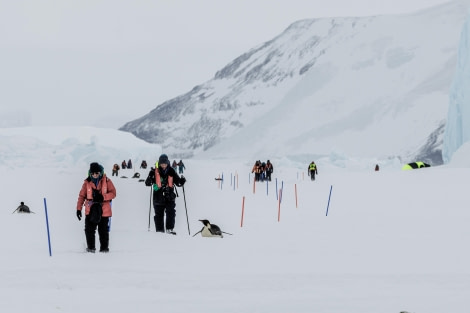 Weddell Sea