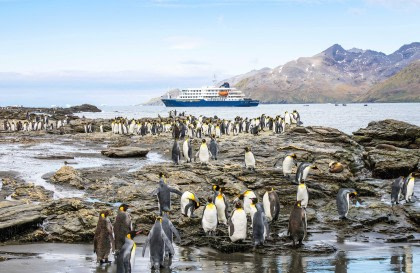 Falkland Islands - South Georgia - Antarctica