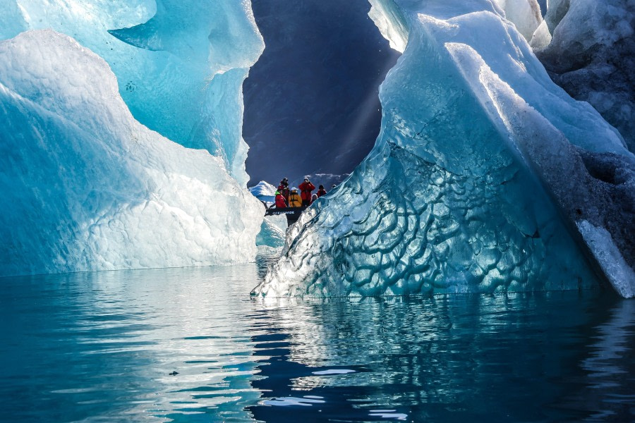 Among the Icebergs