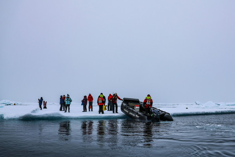 Walk on... pack ice
